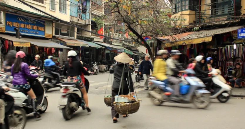 Dengue outbreaks in Vietnam’s changing landscape