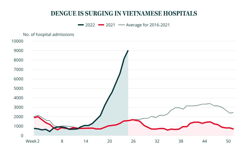 DENGUE IS SURGING IN VIETNAMESE HOSPITALS