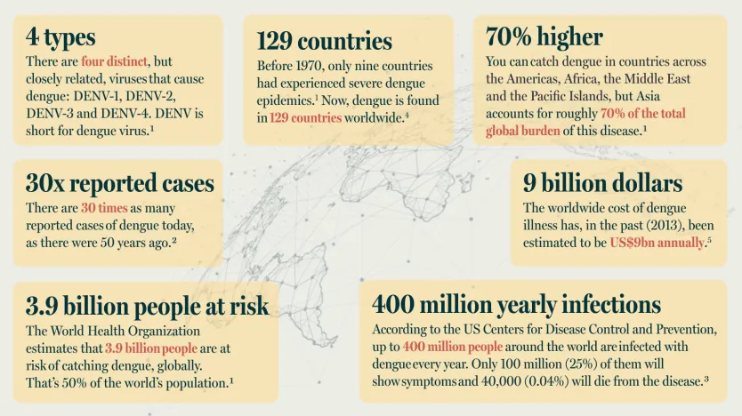 Statistics and facts in numbers relating to dengue fever