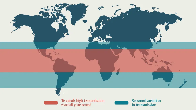 Seasonal variation in dengue fever transmission versus tropical areas with dengue mosquito activity year-round