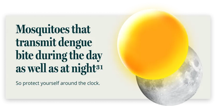 Risk of dengue mosquito bite day or night