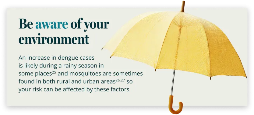 The risk of a dengue mosquito bite can increase during the rainy season