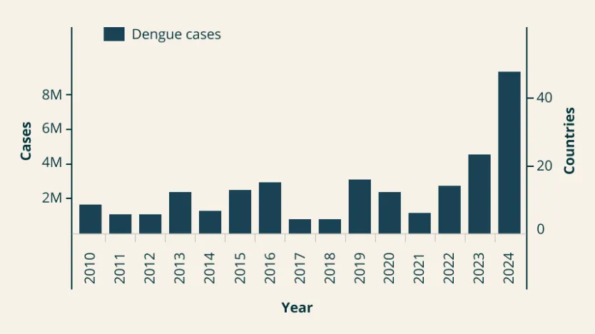 Dengue cases rising in number in the Americas